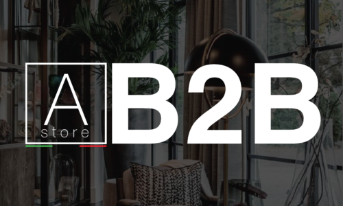 B2b500 B2b500